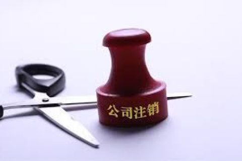 拉薩注銷一個公司，需要去幾個部門？整體時間需要多久？大概流程是怎樣的？