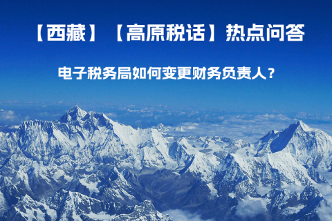 電子稅務(wù)局如何變更財務(wù)負責人？