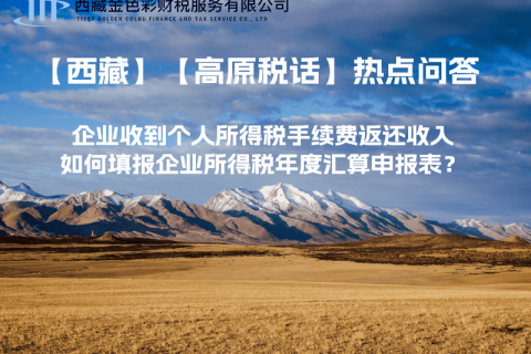 企業(yè)收到個(gè)人所得稅手續(xù)費(fèi)返還收入，如何填報(bào)企業(yè)所得稅年度匯算申報(bào)表？