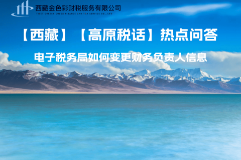 西藏電子稅務(wù)局如何變更財務(wù)負(fù)責(zé)人信息？