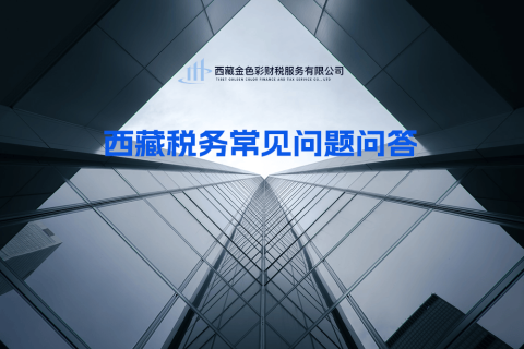 西藏稅務(wù)常見問(wèn)題問(wèn)答